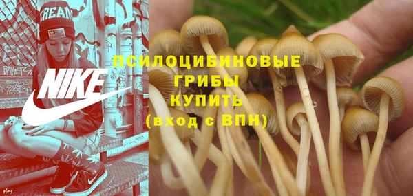 МДПВ Богданович