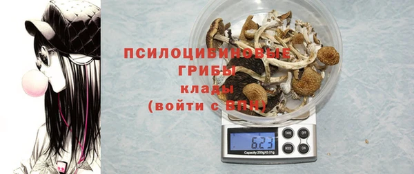 МДПВ Богданович