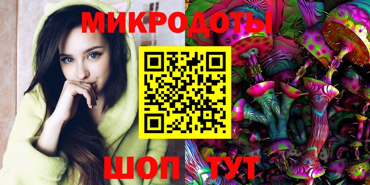 Псилоцибиновые грибы Psilocybe  Вход с VPN  Большой Камень 