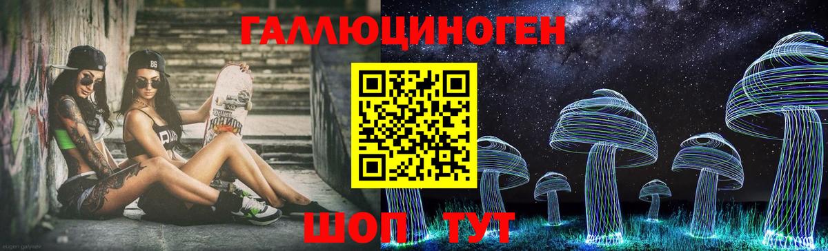 Псилоцибиновые грибы Psilocybine cubensis Большой Камень